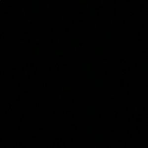 Meet your Posher, Loretta